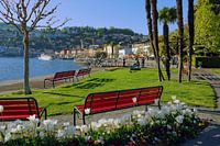Ascona