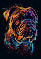 Pitbull Hund Farbe Pitbull