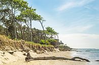 Darss west beach van Katrin May thumbnail