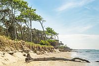 Darss west beach