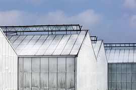 Serres blanchies à la chaux dans le Westland sur Peter de Kievith Fotografie