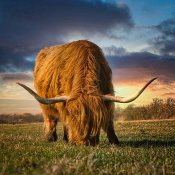 Mon Highlander III préféré