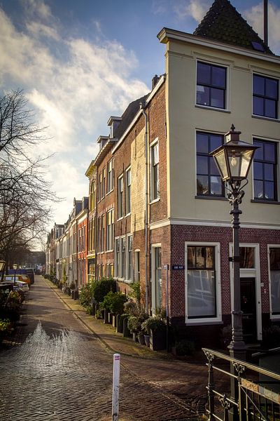 Herengracht Oude rijn Leiden van Dirk van Egmond