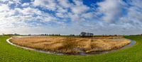 Panoramisch uitzicht over het natuurgebied Scheerenwelle in de IJsseldelta van Sjoerd van der Wal Fotografie thumbnail