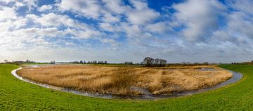 Panoramic view over the Scheerenwelle nature reserve in the IJsseldelta river delta by Sjoerd van der Wal Photography