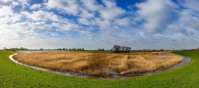 Panoramisch uitzicht over het natuurgebied Scheerenwelle in de IJsseldelta van Sjoerd van der Wal Fotografie