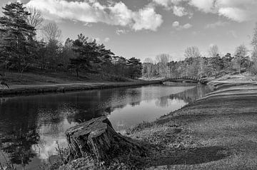 Amsterdamse waterleidingduinen