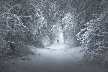 Winter's Gate von Daniel Laan