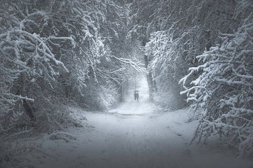 Winter's Gate