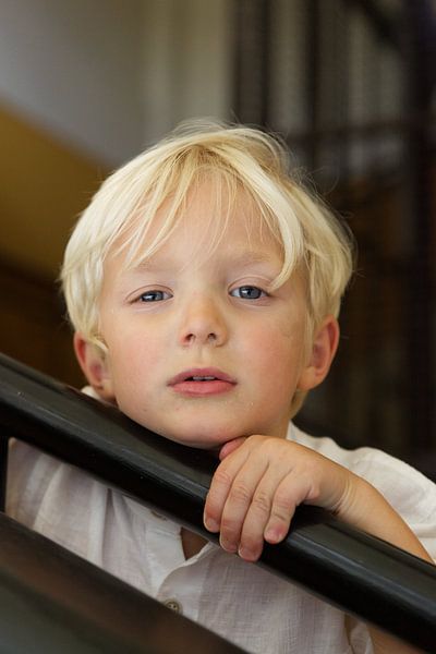 fripon par johan Haesevoets