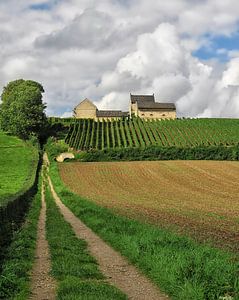 Apostlehoeve sur Ellen Driesse