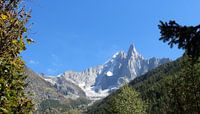 The Moutn Everest