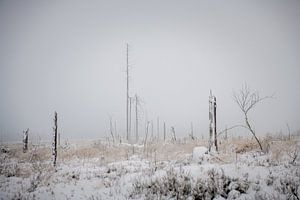 Winterspaß im Hohen Venn