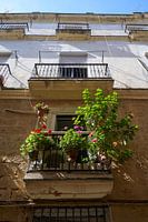 Balcony with plants