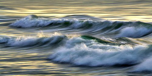 Grüne Welle im Abendlicht