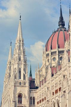 Het parlement van Boedapest - Architectuurfotografie van Carolina Reina