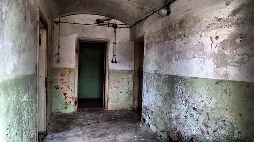 urban/rural decay 01