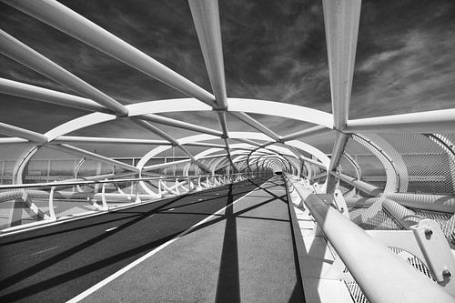 Fietsbrug "de Netkous" in Rotterdam over de A15
