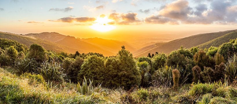 Sunset over Christchurch by Thomas van der Willik