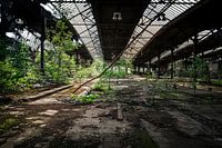 Industrial expanse - Abandoned hall in the grip of nature
