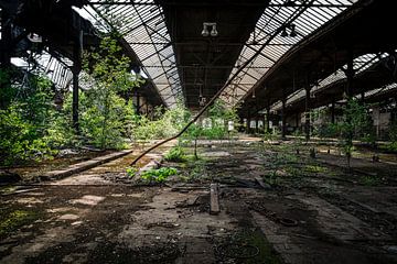 Industriële uitgestrektheid - Verlaten hal in de greep van de natuur van InfiniteArtLabs