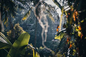 Authentische tropische Ausblicke in Bali, Indonesien von Troy Wegman