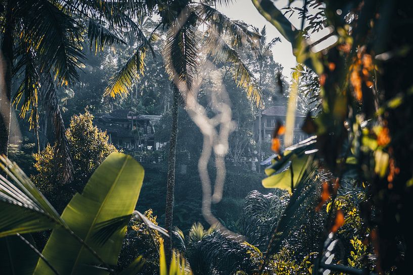 Authentiek tropisch uitzicht in Bali, Indonesië van Troy Wegman