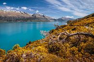 Lake Wakatipu, Nieuw Zeeland van Christian Müringer thumbnail