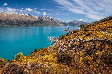Lake Wakatipu, Nieuw Zeeland van Christian Müringer