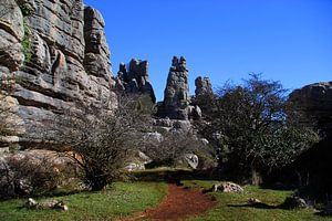 Fantasy Landscape van Cornelis (Cees) Cornelissen