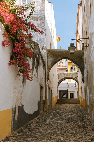 Smal straartje in Evora