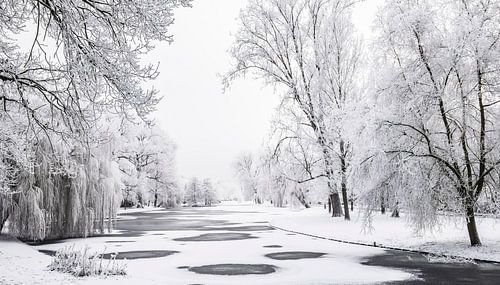 Frozen winter landscape in the city park of Kampen