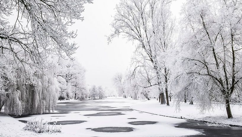 Paysage d'hiver gelé dans le parc de la ville de Kampen par Sjoerd van der Wal Photographie