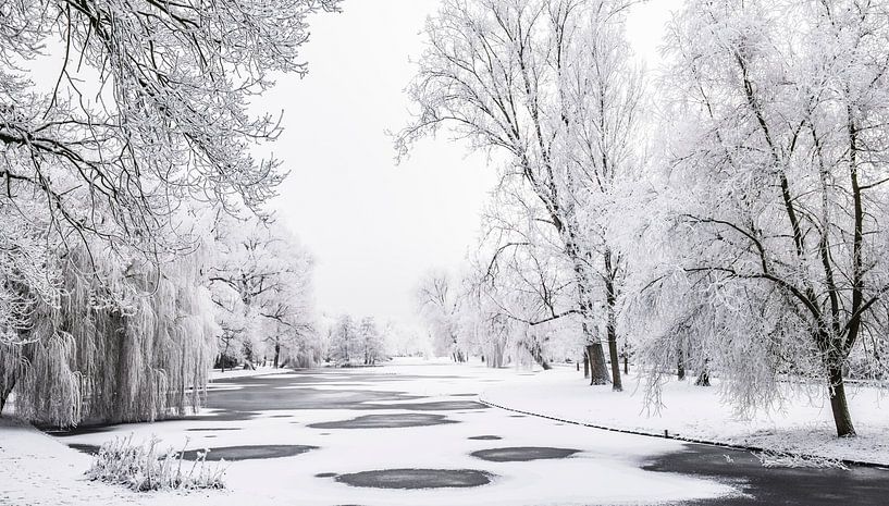 Winterlandschap in het stadspark van Kampen van Sjoerd van der Wal Fotografie