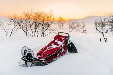 Hundeschlitten im Schnee bei Sonnenaufgang von Martijn Smeets