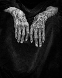 old hands by Peter Venema