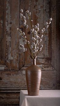 Stilleben, Krug mit Weidenröschen (Salix) an rustikaler alter Tür