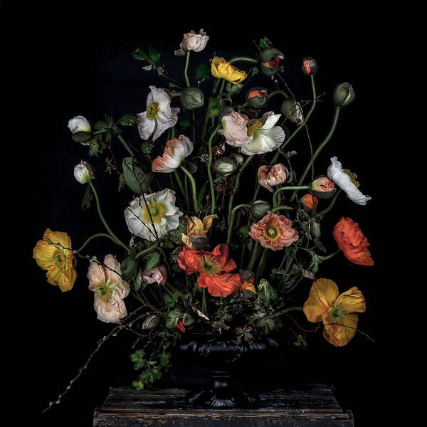 Poppy botanical by Wietske Lavrijssen