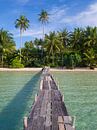 Beach of tropical paradise Koh Kood by Teun Janssen thumbnail