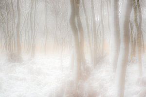 Winterträume