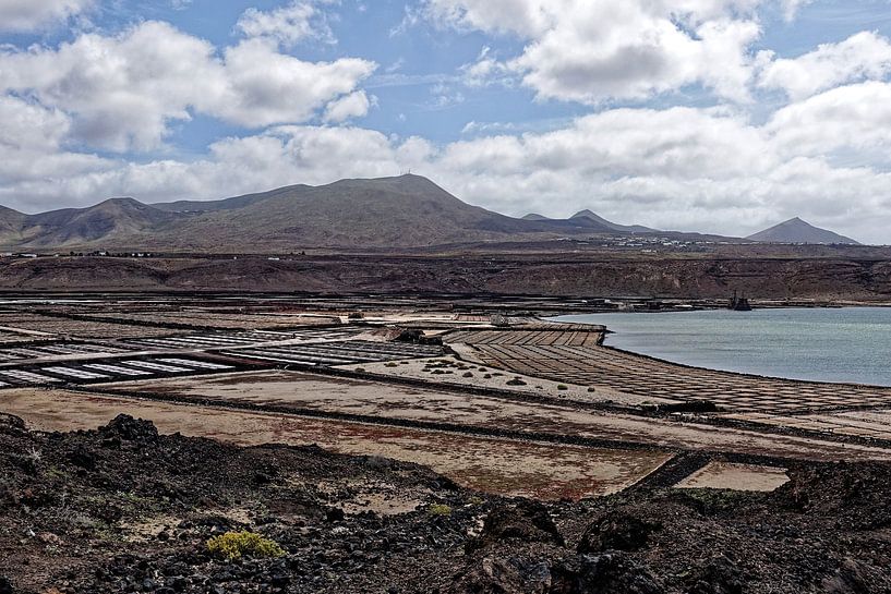 Salinas de Janubio (Lanzarote) par Peter Balan