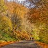 Cycling during Autumn in South Limburg by John Kreukniet