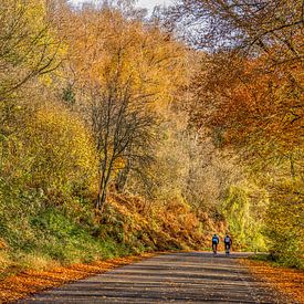 Radfahren im Herbst in Südlimburg von John Kreukniet