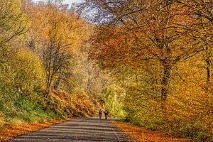 Cycling during Autumn in South Limburg