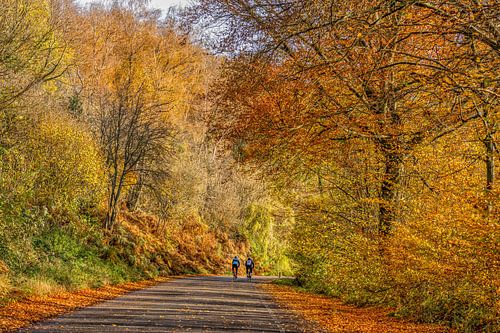 Fietsen tijdens de Herfst in Zuid-Limburg van John Kreukniet