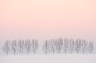 Winter landscape by Arnold van Wijk thumbnail