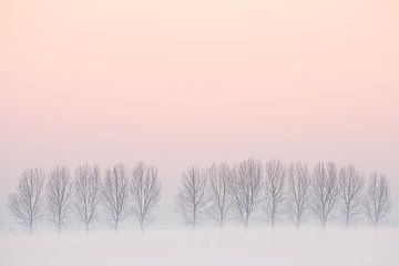 Winter landscape by Arnold van Wijk