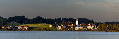 Le houblon au bord du lac