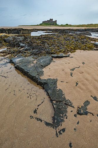 Paysage sur la côte dans l'est de l'Angleterre avec en arrière-plan le château de Bamburgh