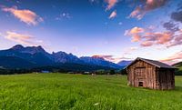 The Last Light